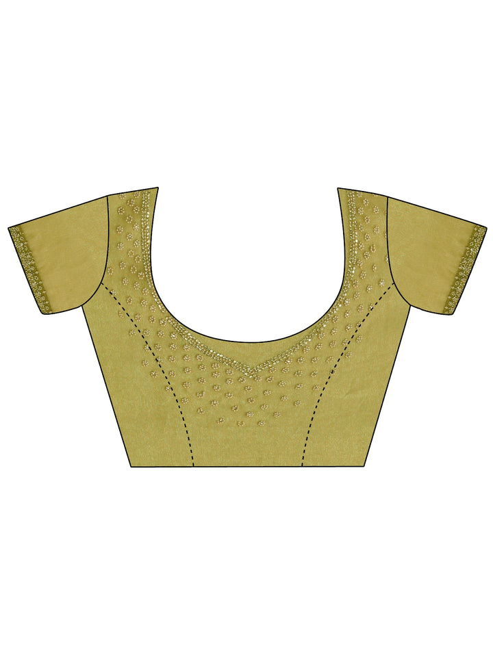 Light Green Embellished Tissue Saree