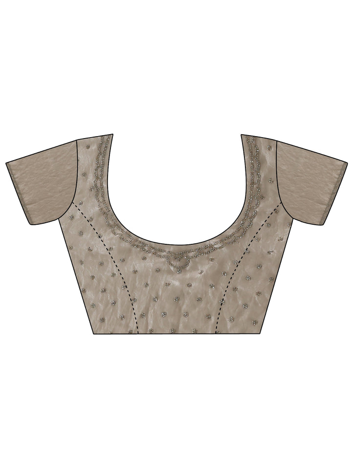 Libas Taupe Embellished Tissue Saree