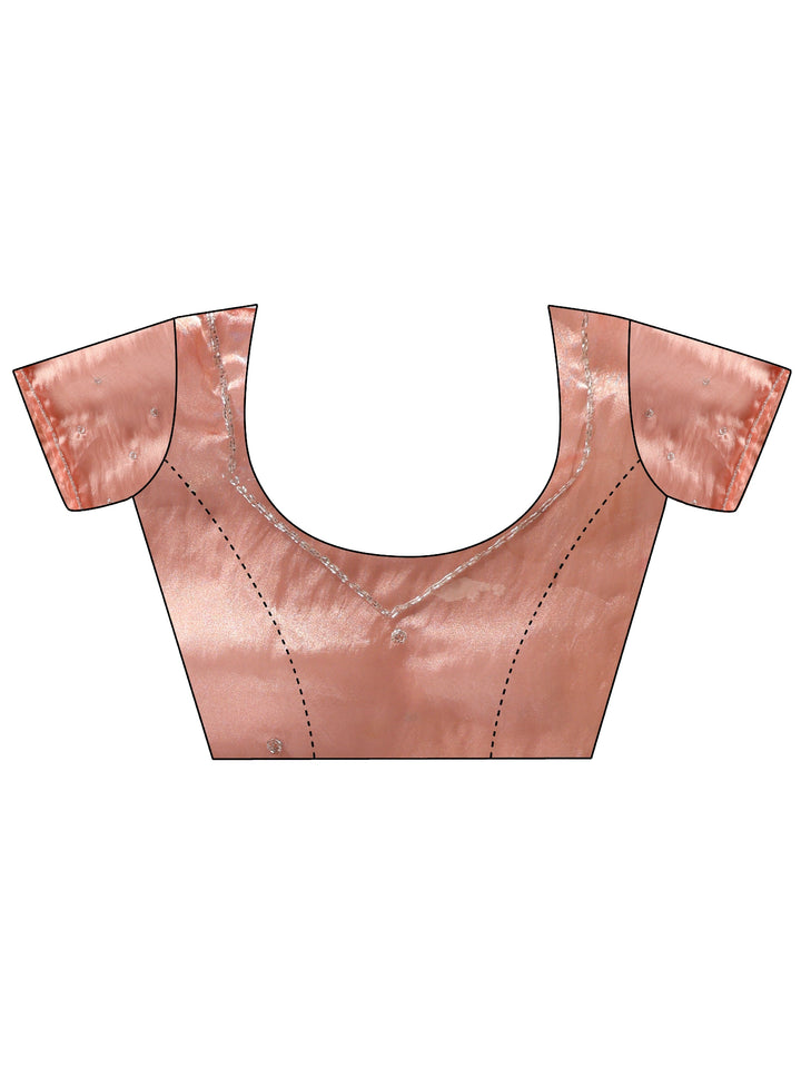 Libas Peach Pink Embellished Organza Saree with Applique Work