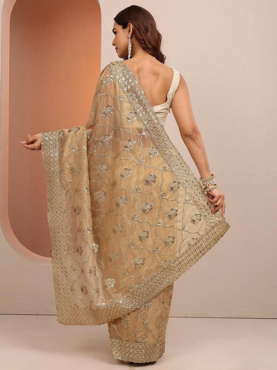 Tan Embroidered Organza Saree With Unstitched Blouse Piece