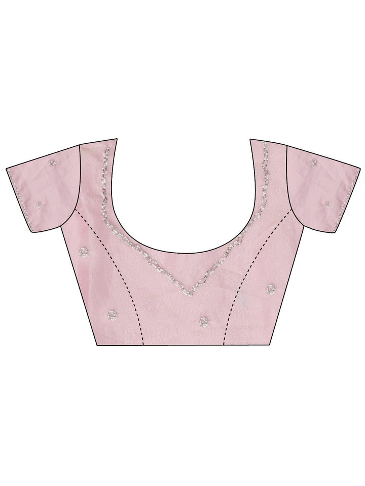 Salmon Pink Elephant Applique Tissue Saree