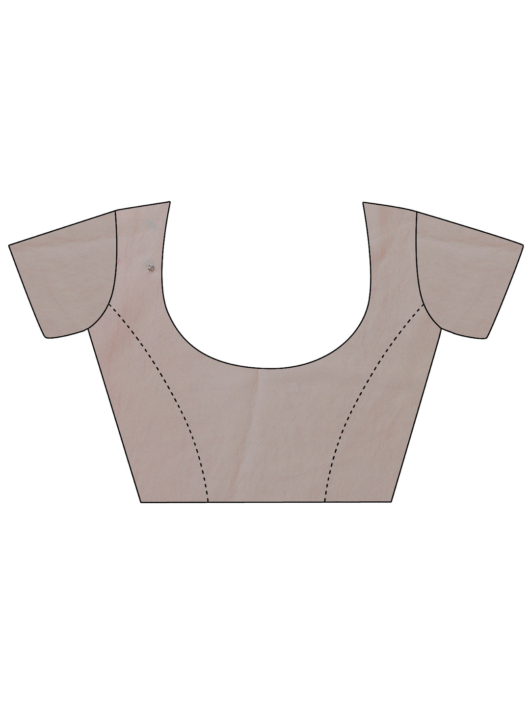 Pale Taupe Embellished Tissue Saree