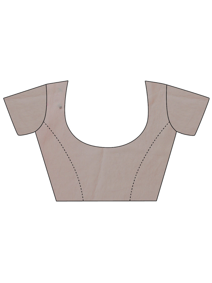 Pale Taupe Embellished Tissue Saree