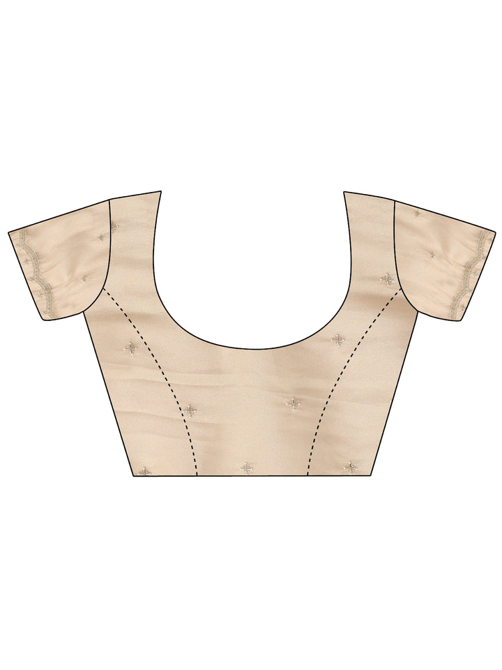 Gold Embellished Tissue Saree