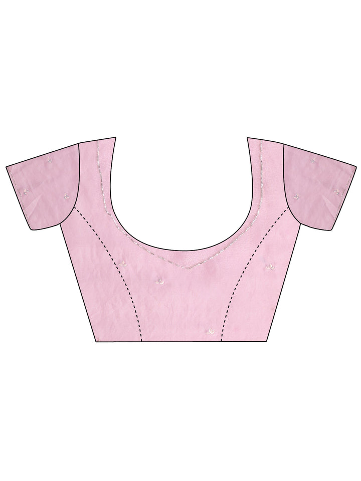 Pink Leaf Applique Tissue Saree
