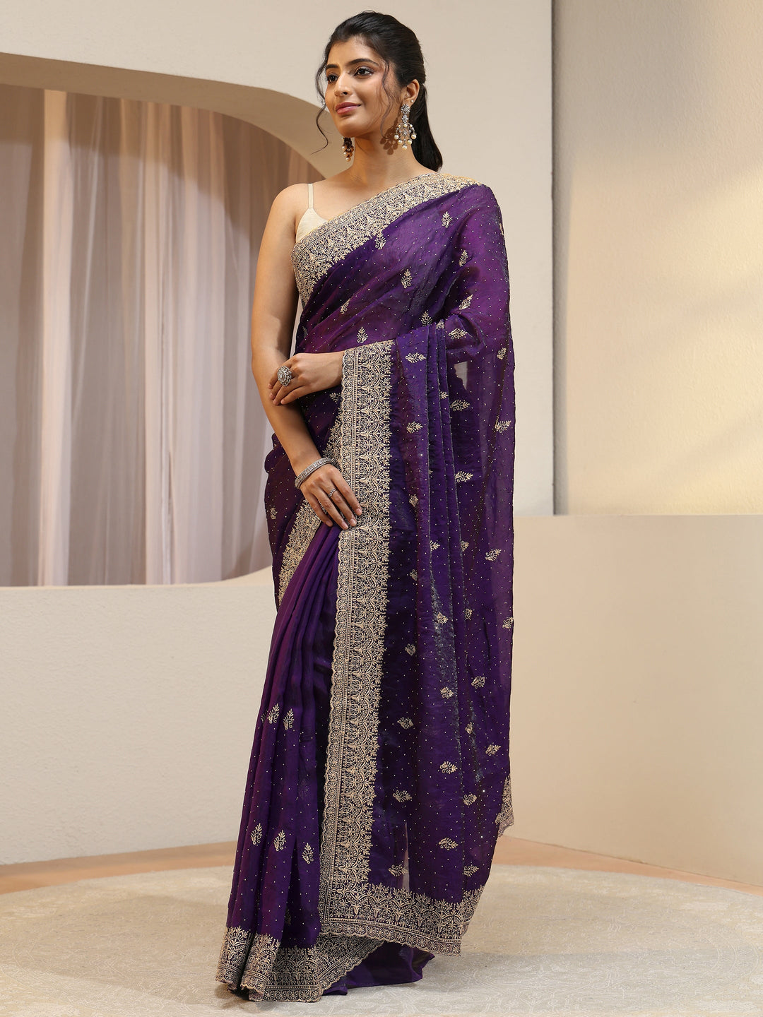Aubergine Tissue Saree With Embellished Border