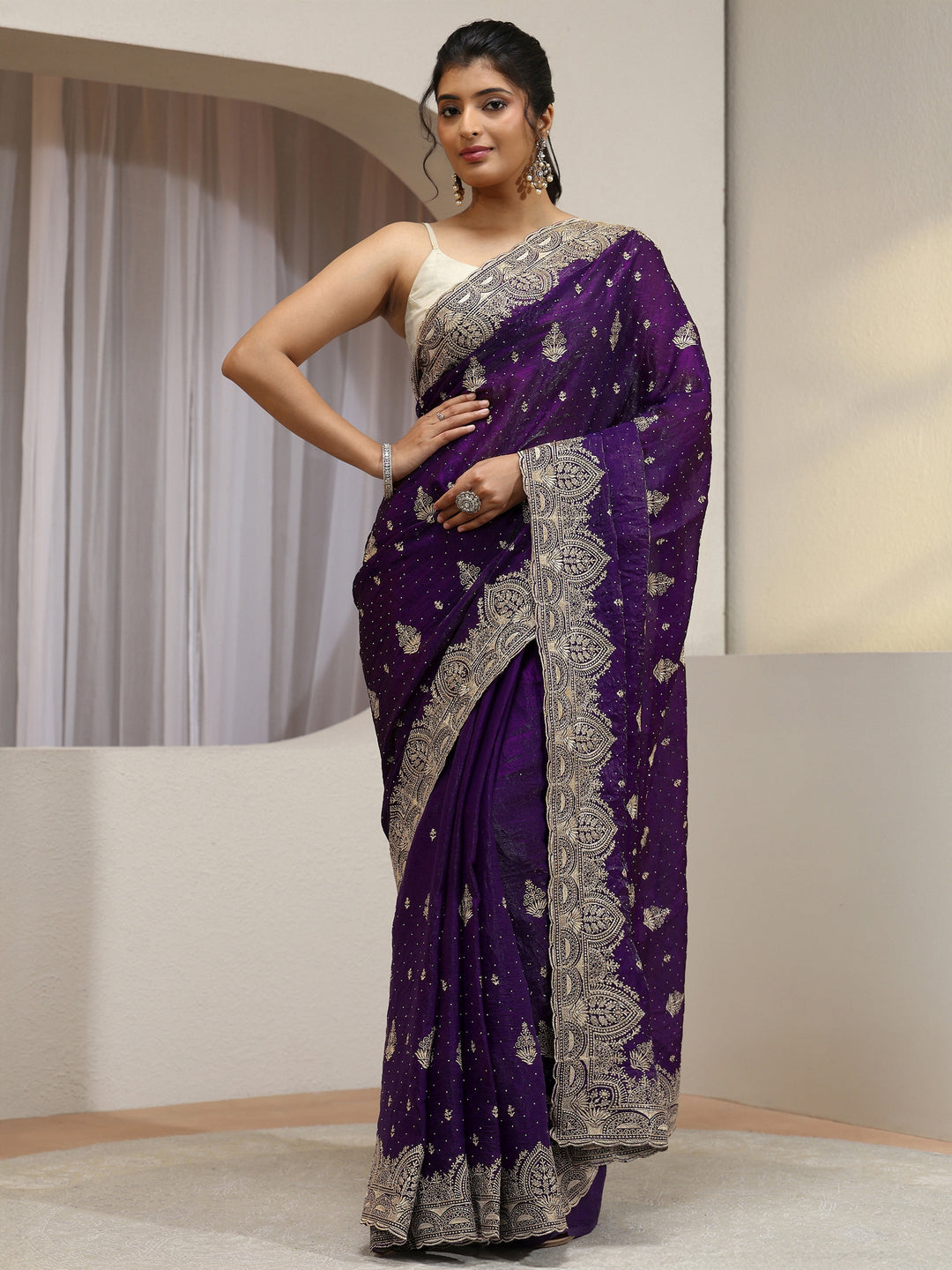 Aubergine Tissue Saree With Embellished Border