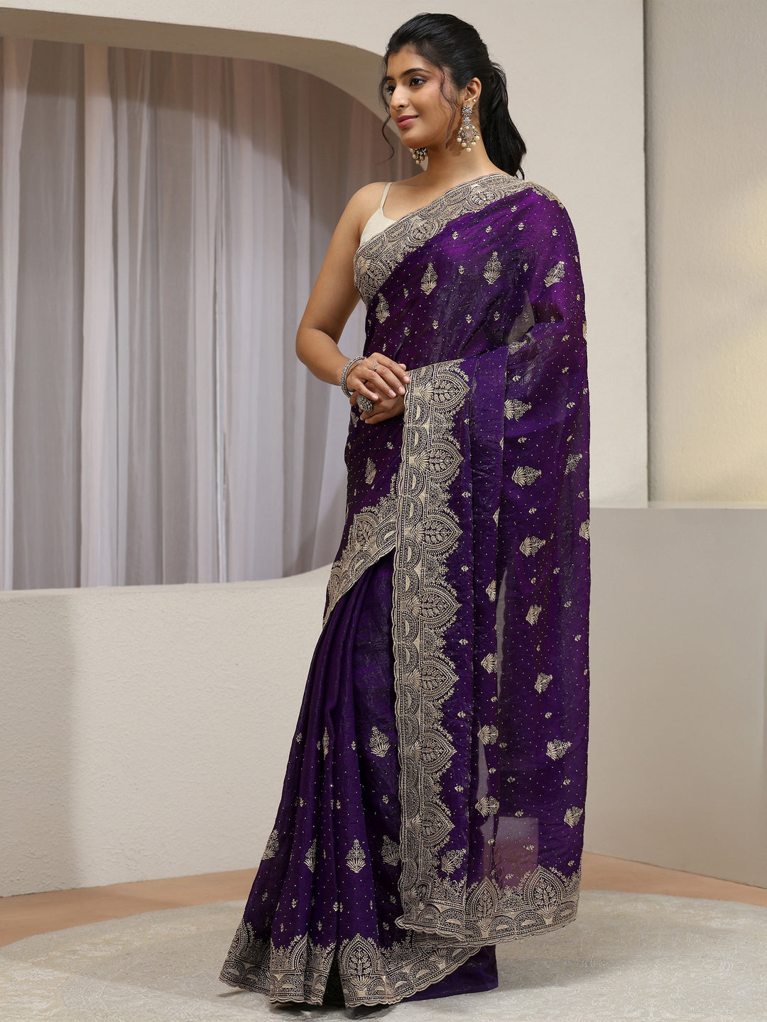 Aubergine Tissue Saree With Embellished Border