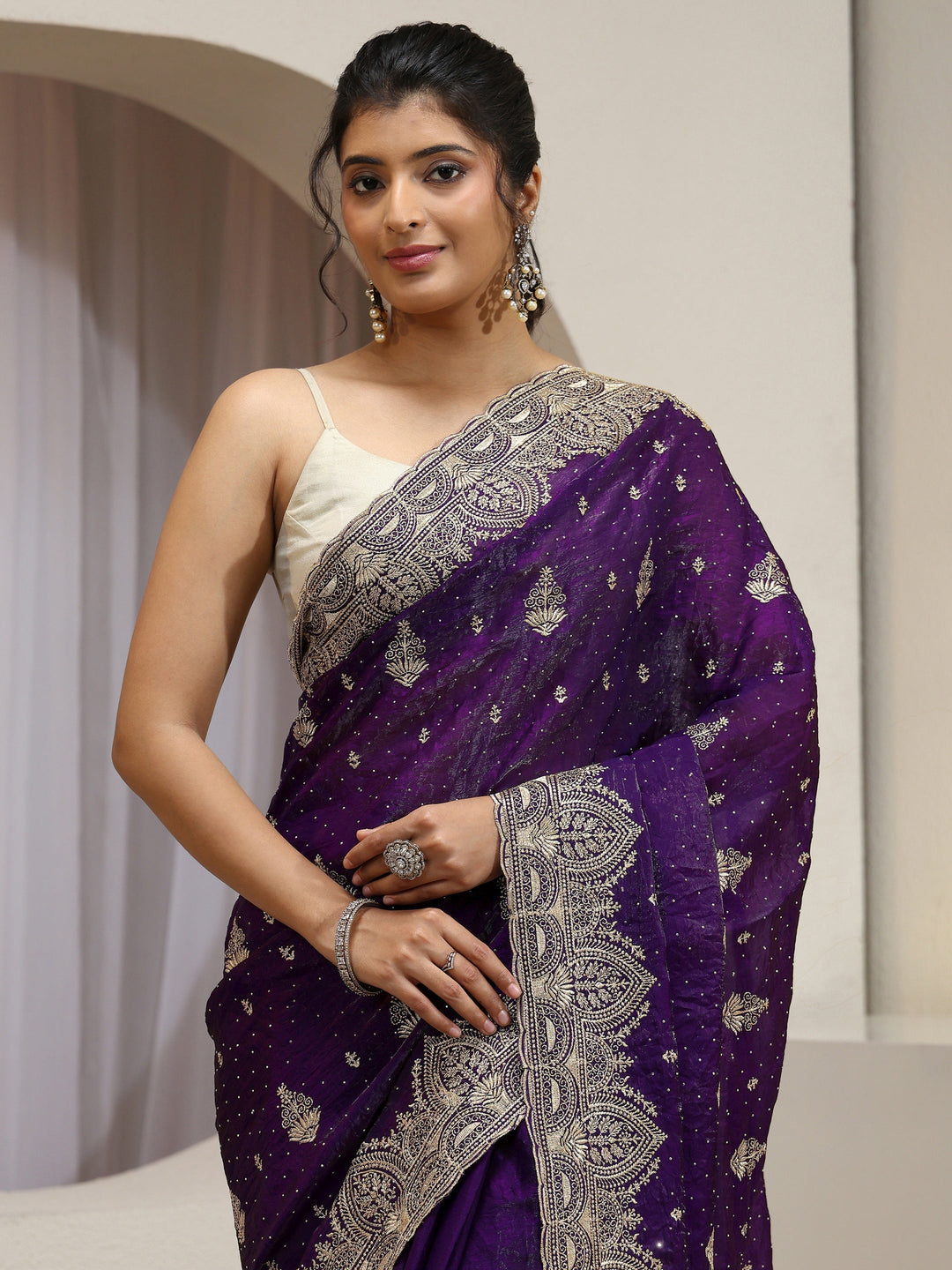 Aubergine Tissue Saree With Embellished Border