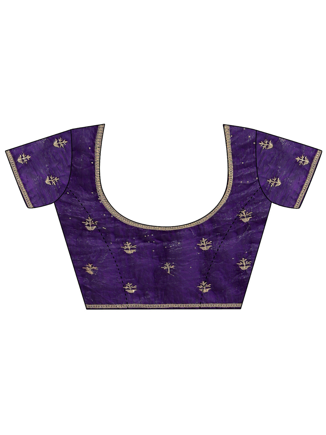 Aubergine Tissue Saree With Embellished Border