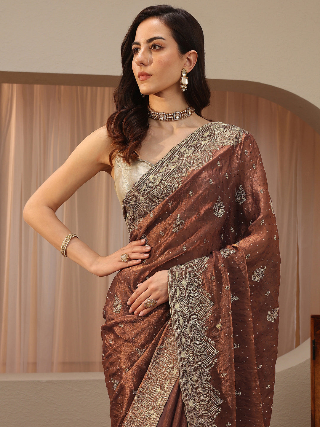 Brown Ethnic Embroidered Tissue Saree