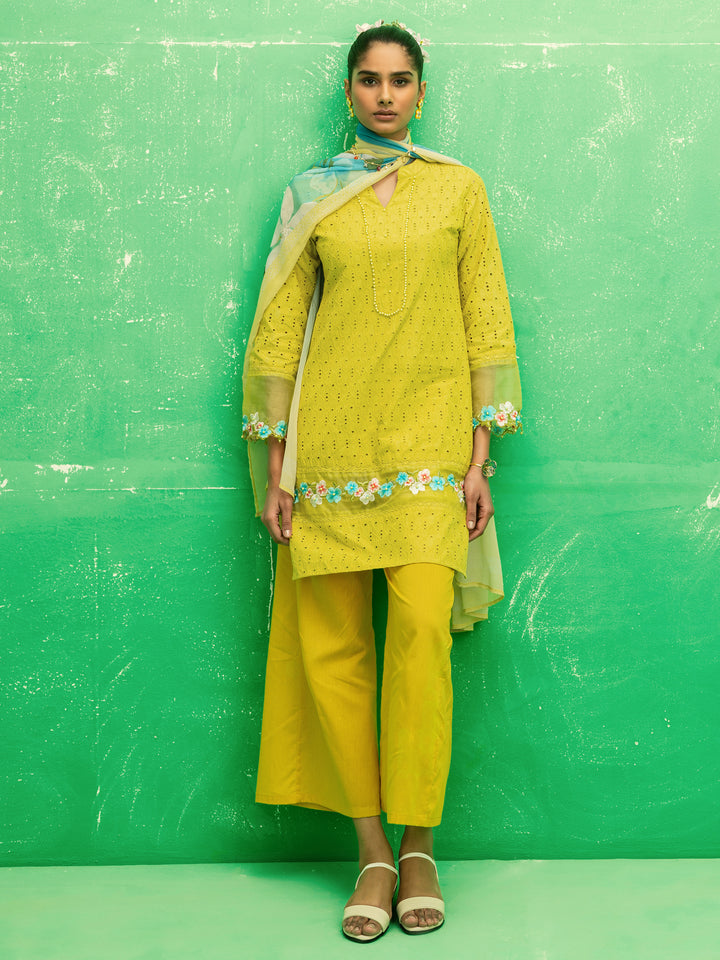 Cecelia Lime Green Embroidered Cotton Straight Suit Set With Dupatta