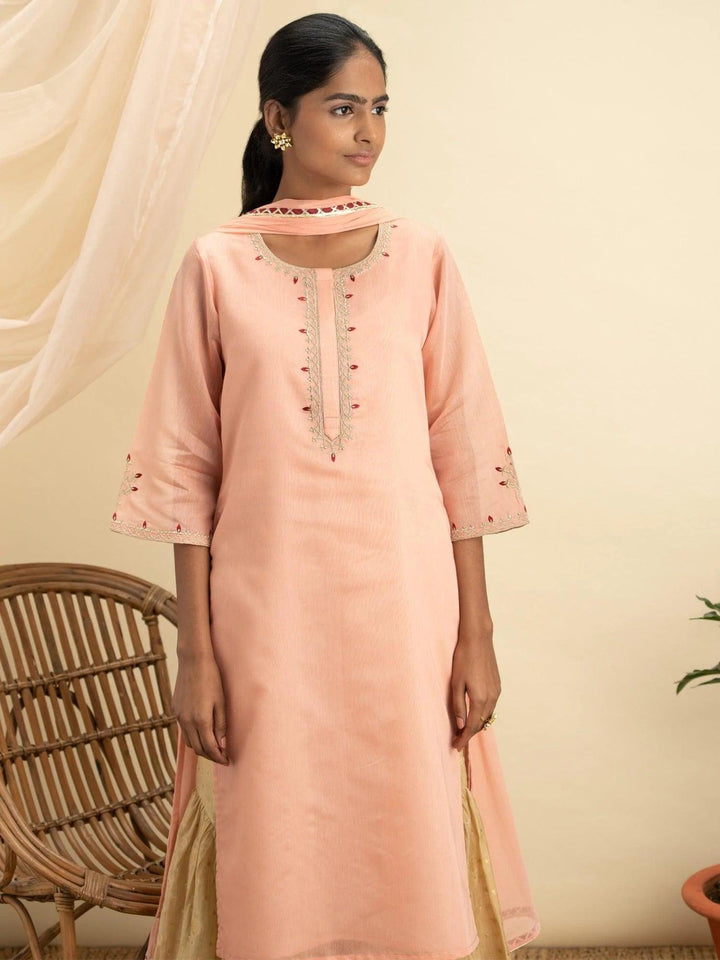 Pink Embroidered Silk Suit Set - ShopLibas