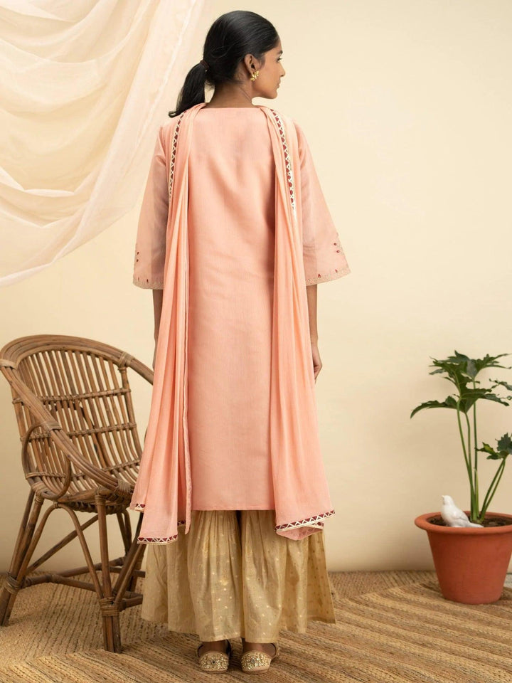 Pink Embroidered Silk Suit Set - ShopLibas