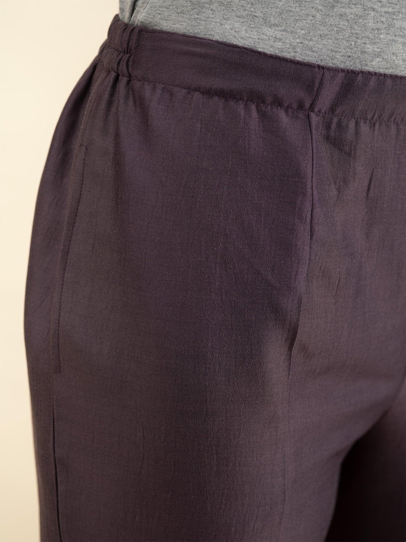 Purple Solid Silk Trousers - ShopLibas